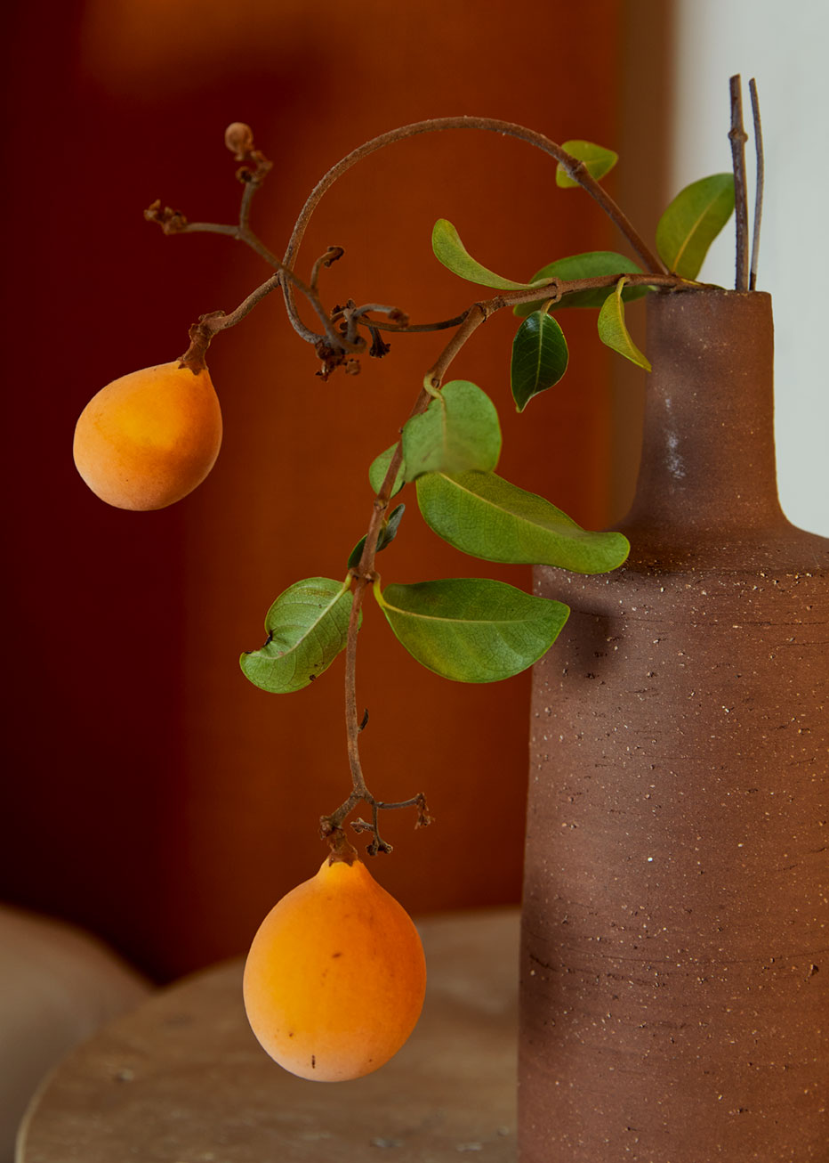 Oranges in the sanctuary