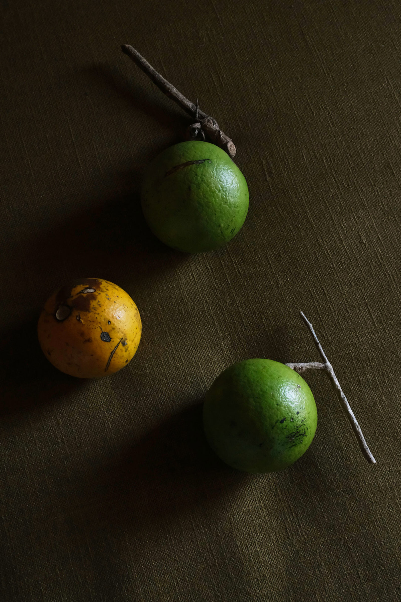 Local citrus fruit on a green texture background