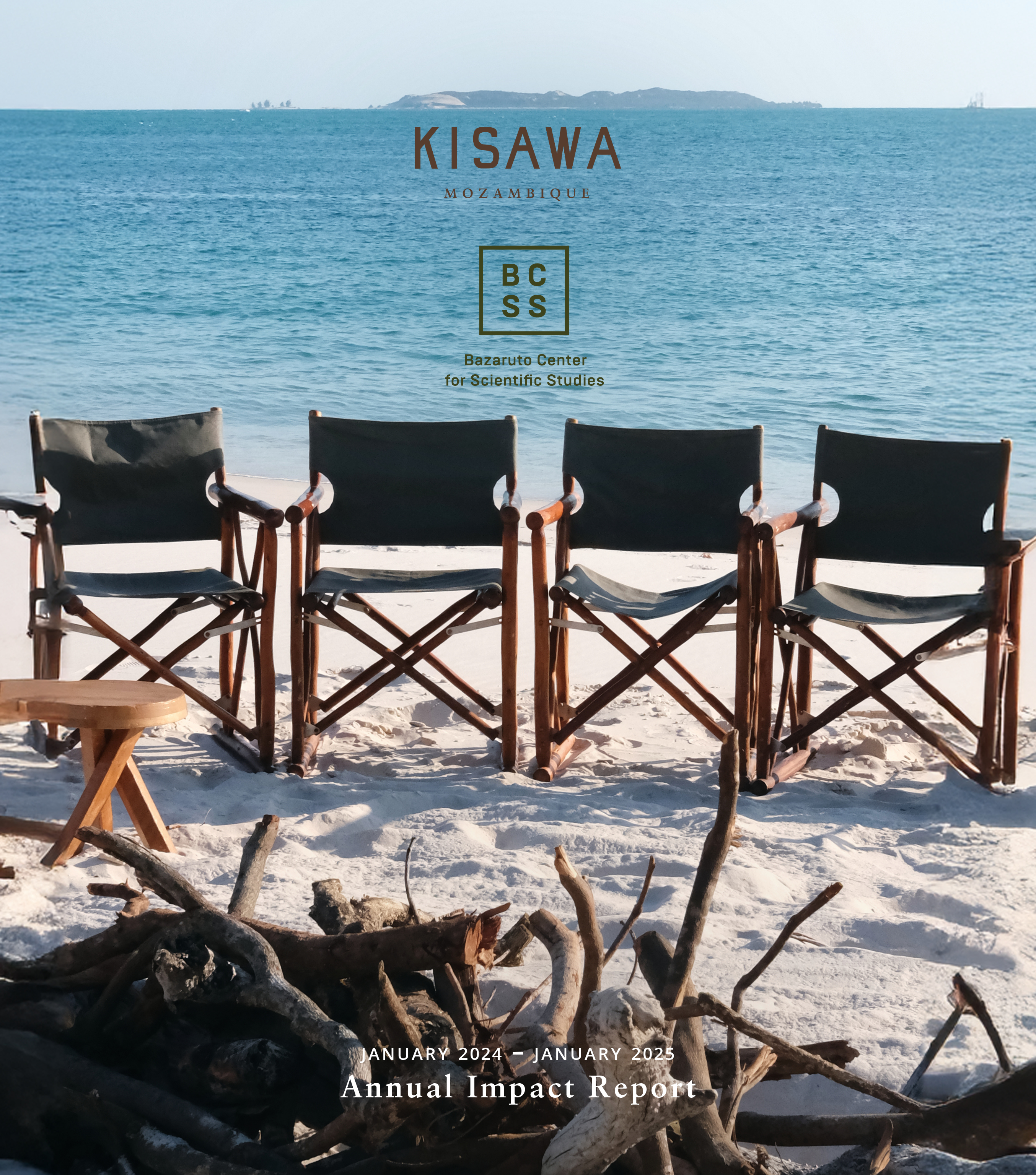 Safari chairs on a beach with ocean in the background